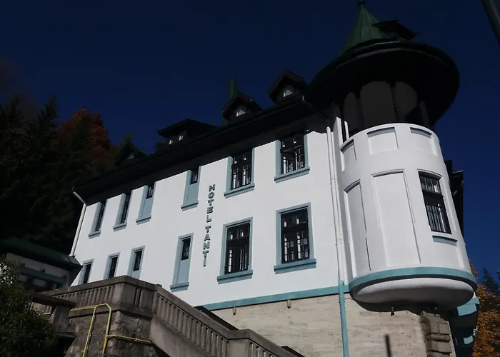Hotel Tantzi